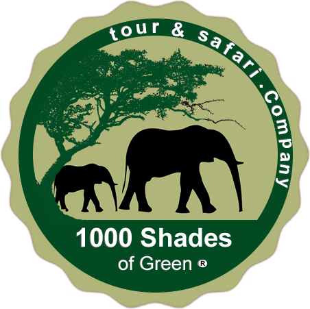 1000 Shades of Green Safaris